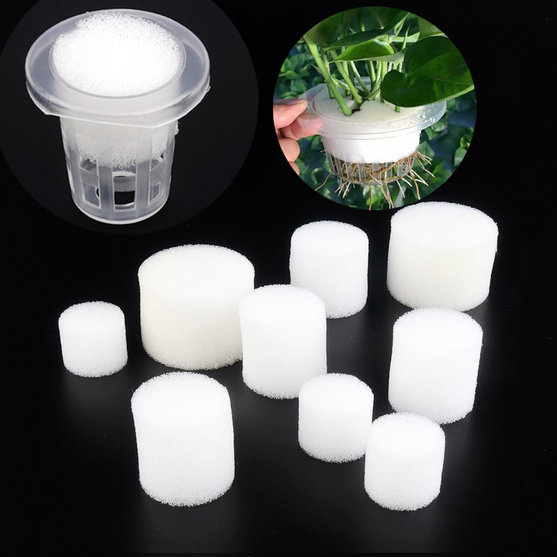 Net Pot 3 Inch - White Mesh Cup Esponja para vegetais
