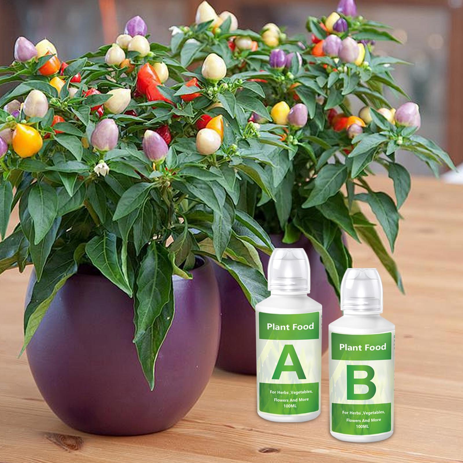 Nutrient Solution Ab - Conjunto de fertilizantes hidropônicos, solução AB,