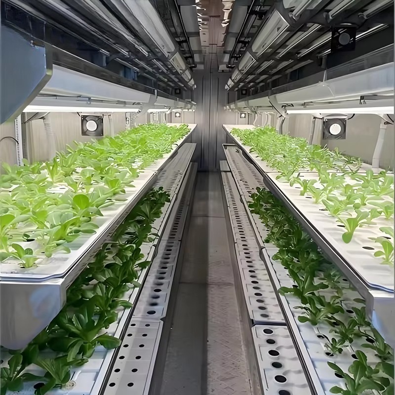 Sistema de Cultivo Vertical em - Urban Farming Hydroponic System avaliação e preço
