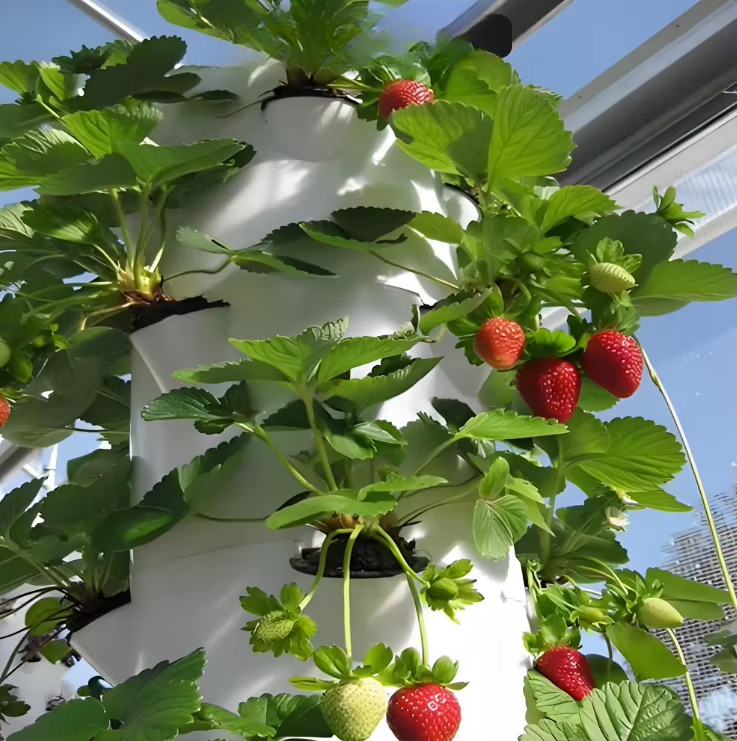 Sistema modular hidropônico de - Urban Farming Hydroponic System avaliação e preço