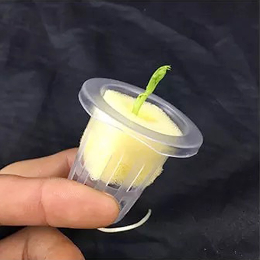 10 pçs copos de malha hidropôn - Net Pot 3 Inch avaliação e preço