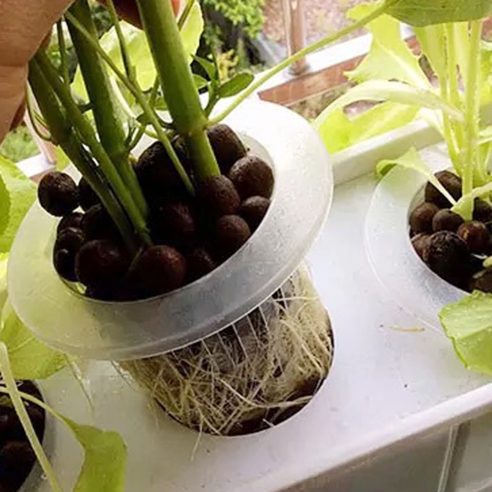 10 pçs copos de malha hidropôn - Net Pot 3 Inch avaliação e preço