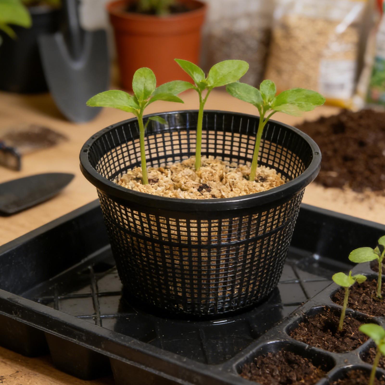 Vasos de Rede Reutilizáveis de - Net Pot 3 Inch avaliação e preço