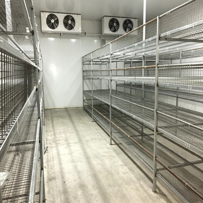 Fazenda Hidropônica em Contêin - Urban Farming Hydroponic System avaliação e preço