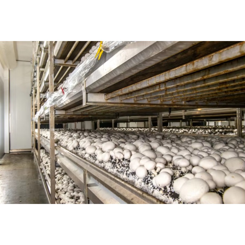 Fazenda Hidropônica em Contêin - Urban Farming Hydroponic System avaliação e preço