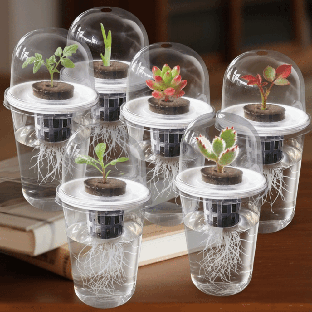 1-5 unidades Copos de Germinaç - Net Pot 3 Inch avaliação e preço