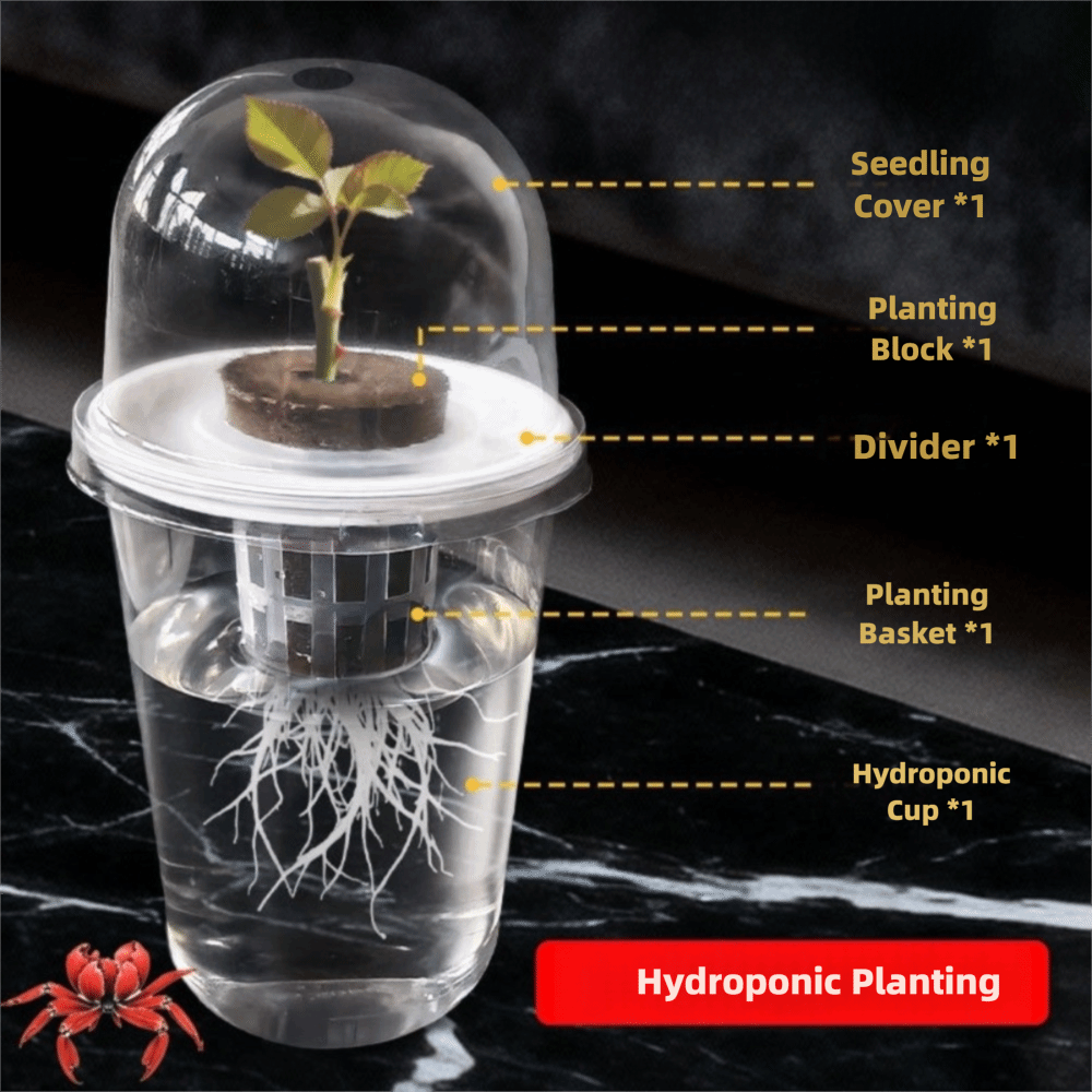 1-5 unidades Copos de Germinaç - Net Pot 3 Inch avaliação e preço